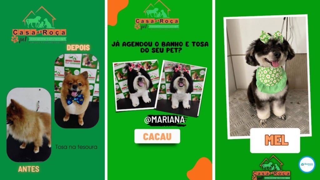 Casa da Roça & Pet o melhor destino para o banho e tosa do seu pet em Amarante e Regeneração!