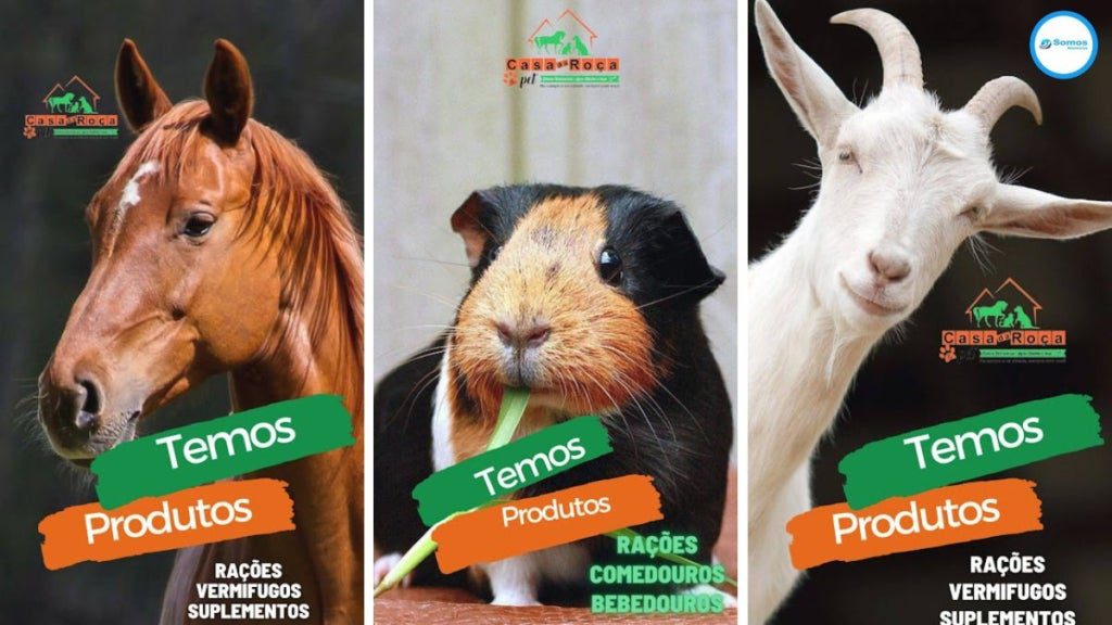 casa da roça & pet com produtos, rações, vermífugos e suplementos