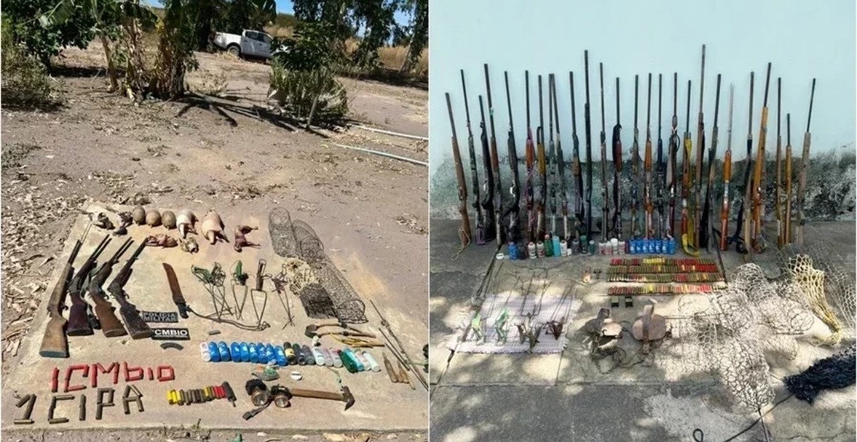 Caça ilegal Piauí - Animais em extinção abatidos e armas apreendidas no Sul do Piauí