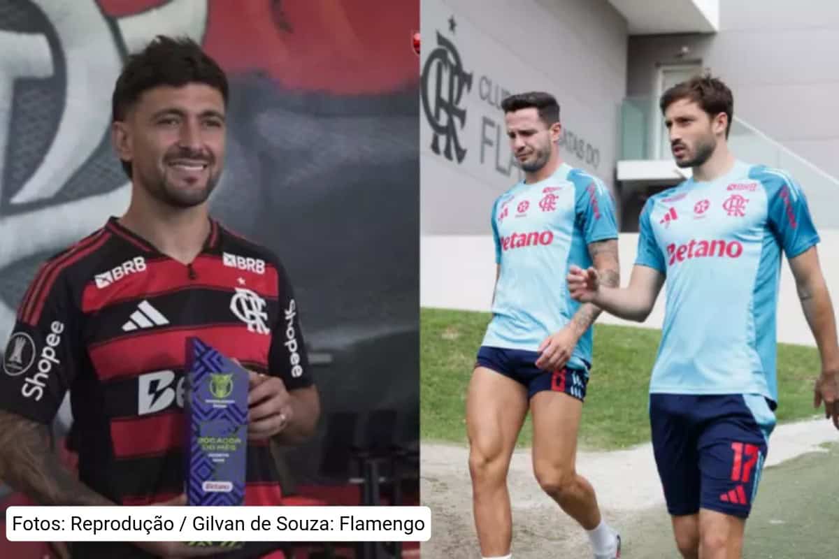 flamengo Brasileiro 2025 elenco rubro-negro